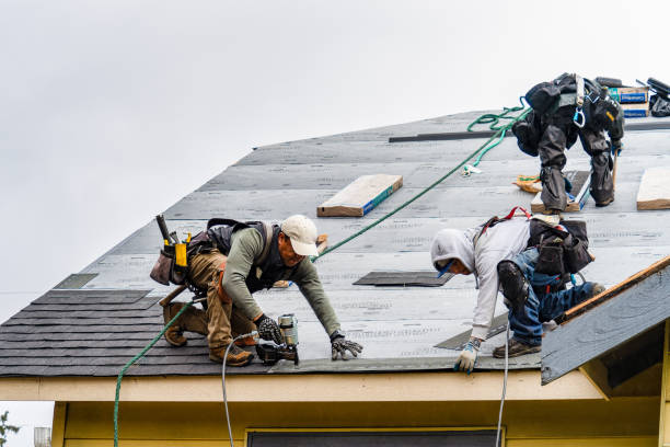 Professional Gutter Installation technician working in Brookfield, GA